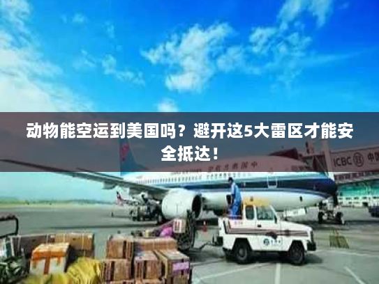 动物能空运到美国吗？避开这5大雷区才能安全抵达！