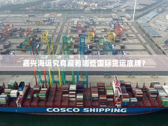 嘉兴海运究竟藏着哪些国际货运底牌? 嘉兴海运究竟藏着哪些国际货运底牌?