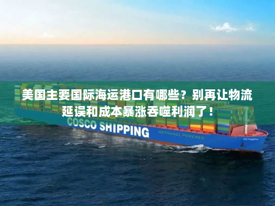 美国主要国际海运港口有哪些？别再让物流延误和成本暴涨吞噬利润了！