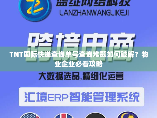 TNT国际快递查询单号查询难题如何破解?物业企业必看攻略 TNT国际快递查询单号查询难题如何破解?物业企业必看攻略