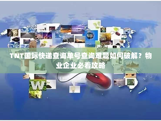 TNT国际快递查询单号查询难题如何破解?物业企业必看攻略 TNT国际快递查询单号查询难题如何破解?物业企业必看攻略