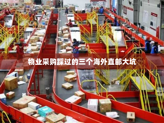物业采购踩过的三个海外直邮大坑 物业采购踩过的三个海外直邮大坑