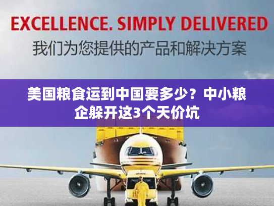美国粮食运到中国要多少？中小粮企躲开这3个天价坑