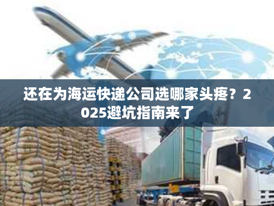 还在为海运快递公司选哪家头疼？2025避坑指南来了