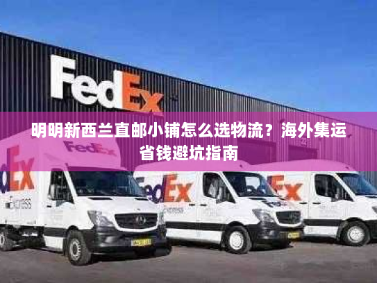 明明新西兰直邮小铺怎么选物流?海外集运省钱避坑指南 明明新西兰直邮小铺怎么选物流?海外集运省钱避坑指南