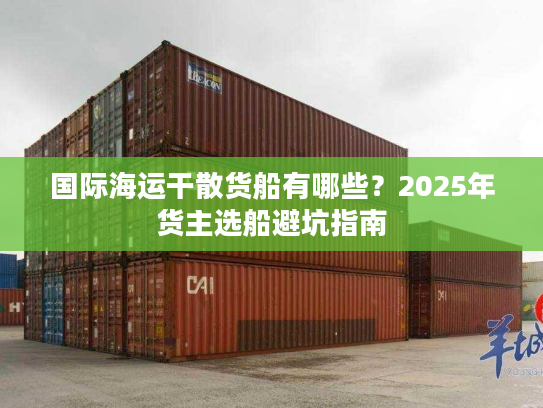 国际海运干散货船有哪些？2025年货主选船避坑指南