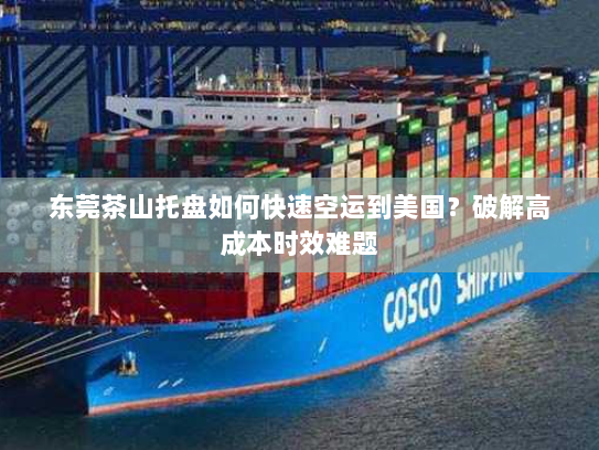 东莞茶山托盘如何快速空运到美国?破解高成本时效难题 东莞茶山托盘如何快速空运到美国?破解高成本时效难题