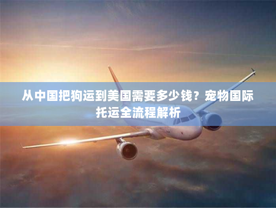 从中国把狗运到美国需要多少钱?宠物国际托运全流程解析 从中国把狗运到美国需要多少钱?宠物国际托运全流程解析