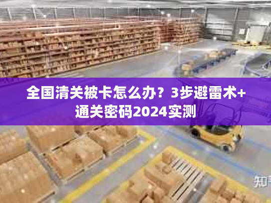 全国清关被卡怎么办？3步避雷术+通关密码2024实测