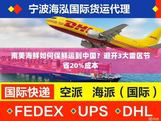 南美海鲜如何保鲜运到中国？避开3大雷区节省20%成本