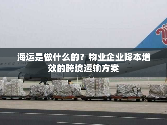海运是做什么的?物业企业降本增效的跨境运输方案 海运是做什么的?物业企业降本增效的跨境运输方案