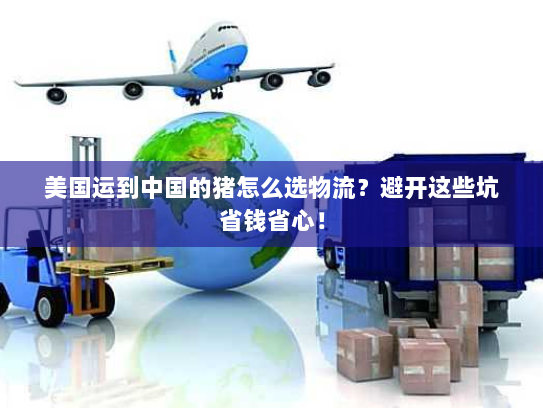 美国运到中国的猪怎么选物流?避开这些坑省钱省心! 美国运到中国的猪怎么选物流?避开这些坑省钱省心!