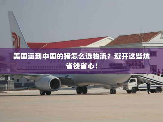 美国运到中国的猪怎么选物流?避开这些坑省钱省心! 美国运到中国的猪怎么选物流?避开这些坑省钱省心!