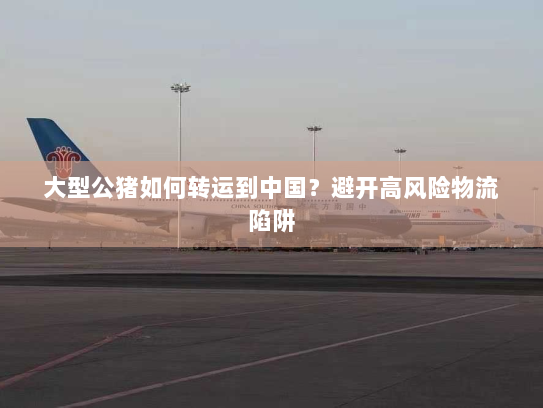 大型公猪如何转运到中国?避开高风险物流陷阱 大型公猪如何转运到中国?避开高风险物流陷阱