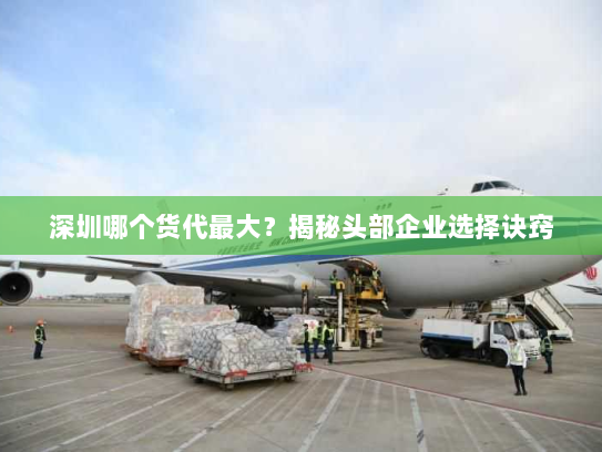 深圳哪个货代最大?揭秘头部企业选择诀窍 深圳哪个货代最大?揭秘头部企业选择诀窍