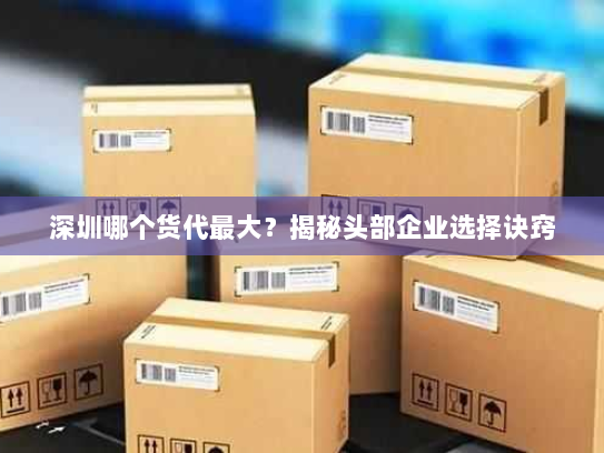 深圳哪个货代最大?揭秘头部企业选择诀窍 深圳哪个货代最大?揭秘头部企业选择诀窍