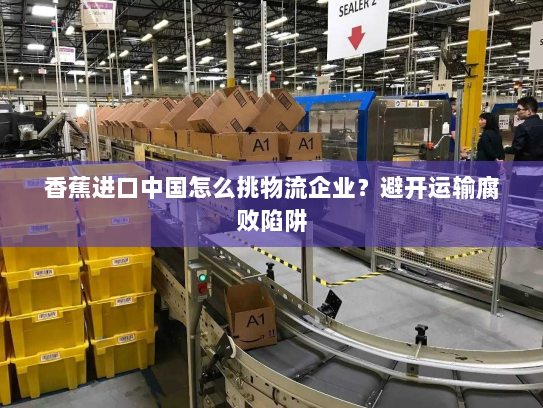 香蕉进口中国怎么挑物流企业？避开运输腐败陷阱