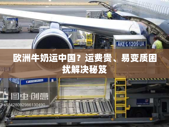 欧洲牛奶运中国？运费贵、易变质困扰解决秘笈