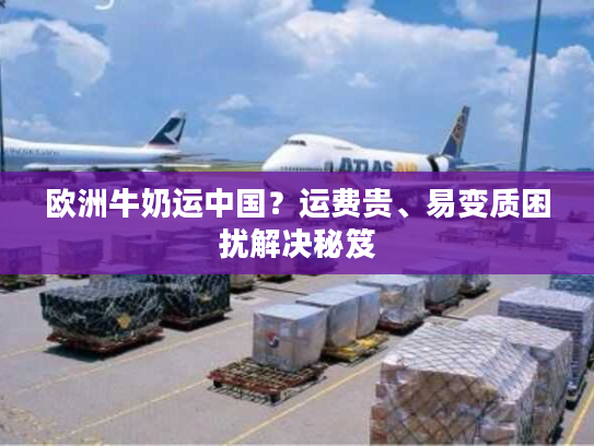 欧洲牛奶运中国？运费贵、易变质困扰解决秘笈