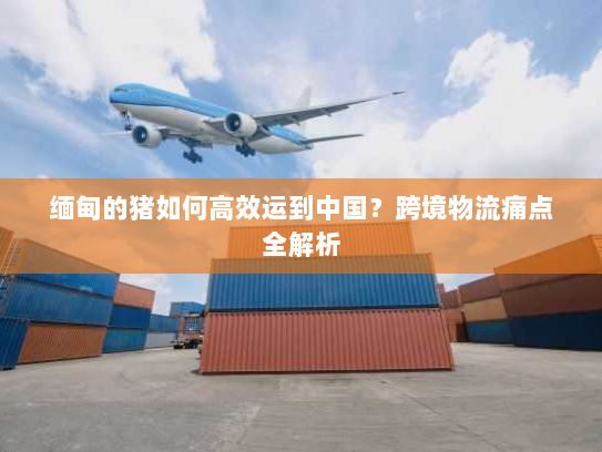 缅甸的猪如何高效运到中国?跨境物流痛点全解析 缅甸的猪如何高效运到中国?跨境物流痛点全解析