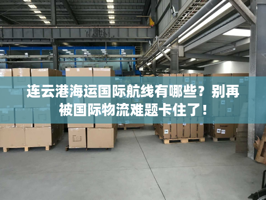 连云港海运国际航线有哪些？别再被国际物流难题卡住了！