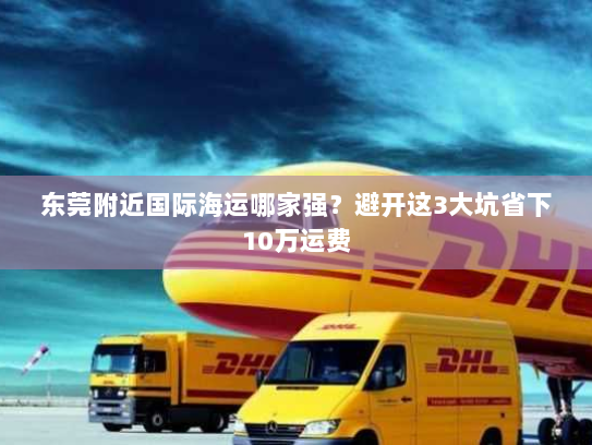 东莞附近国际海运哪家强？避开这3大坑省下10万运费