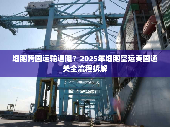 细胞跨国运输遇阻?2025年细胞空运美国通关全流程拆解 细胞跨国运输遇阻?2025年细胞空运美国通关全流程拆解