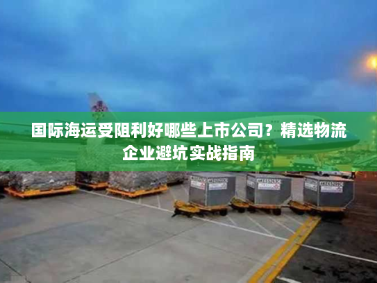 国际海运受阻利好哪些上市公司？精选物流企业避坑实战指南