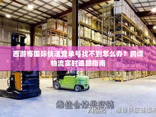 西游寄国际快递查单号找不到怎么办？跨境物流实时追踪指南