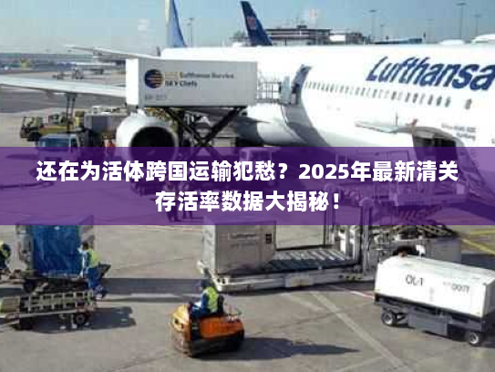 还在为活体跨国运输犯愁？2025年最新清关存活率数据大揭秘！