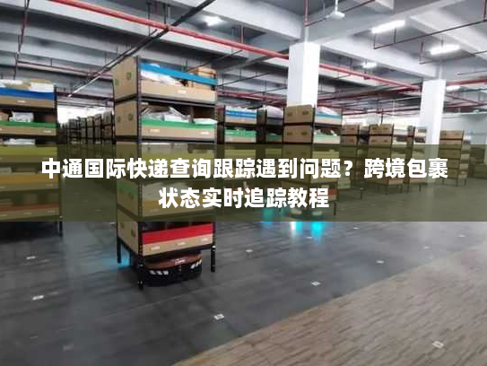 中通国际快递查询跟踪遇到问题?跨境包裹状态实时追踪教程 中通国际快递查询跟踪遇到问题?跨境包裹状态实时追踪教程