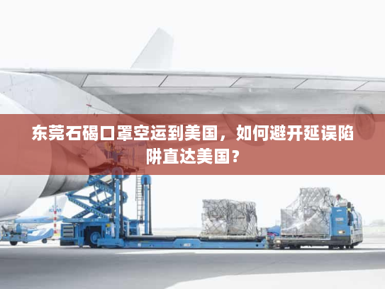 东莞石碣口罩空运到美国,如何避开延误陷阱直达美国? 东莞石碣口罩空运到美国,如何避开延误陷阱直达美国?