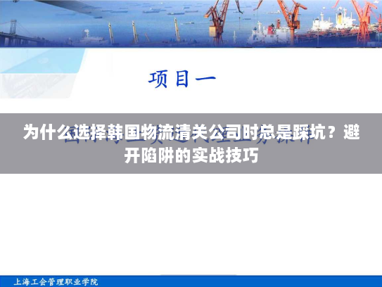 为什么选择韩国物流清关公司时总是踩坑?避开陷阱的实战技巧 为什么选择韩国物流清关公司时总是踩坑?避开陷阱的实战技巧
