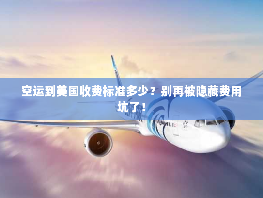空运到美国收费标准多少?别再被隐藏费用坑了! 空运到美国收费标准多少?别再被隐藏费用坑了!