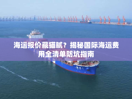 海运报价藏猫腻？揭秘国际海运费用全清单防坑指南