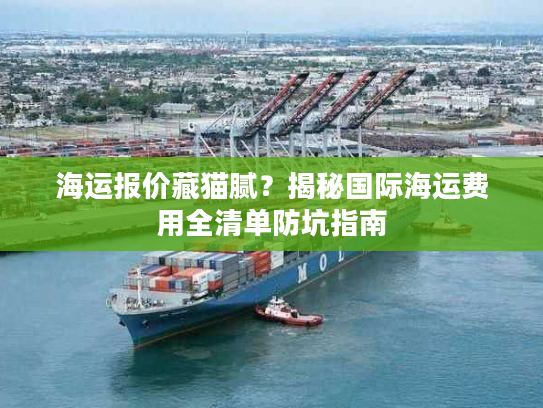 海运报价藏猫腻？揭秘国际海运费用全清单防坑指南