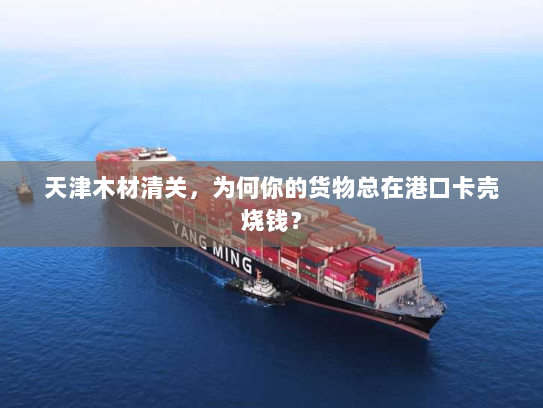 天津木材清关，为何你的货物总在港口卡壳烧钱？