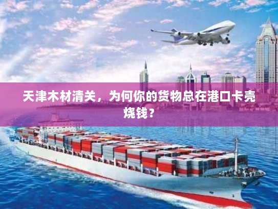 天津木材清关，为何你的货物总在港口卡壳烧钱？