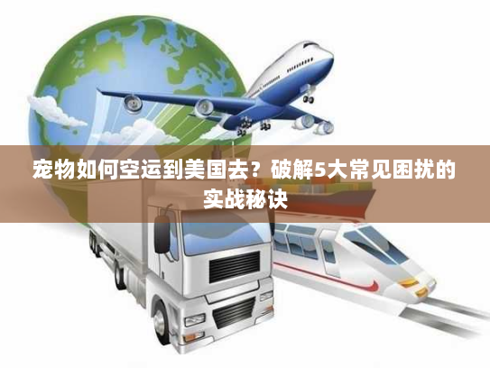 宠物如何空运到美国去？破解5大常见困扰的实战秘诀