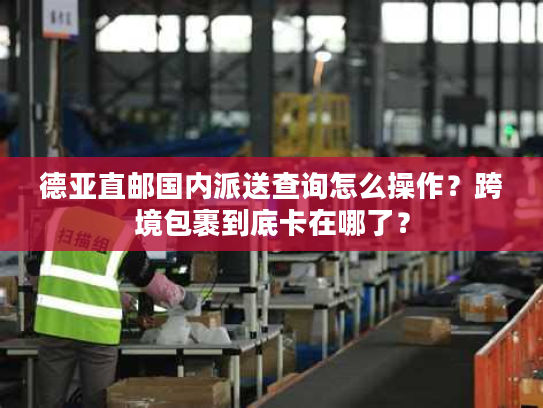 德亚直邮国内派送查询怎么操作？跨境包裹到底卡在哪了？