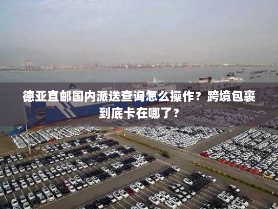 德亚直邮国内派送查询怎么操作?跨境包裹到底卡在哪了? 德亚直邮国内派送查询怎么操作?跨境包裹到底卡在哪了?