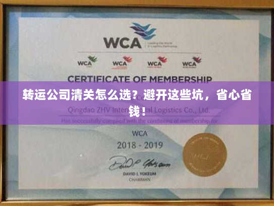 转运公司清关怎么选?避开这些坑,省心省钱! 转运公司清关怎么选?避开这些坑,省心省钱!