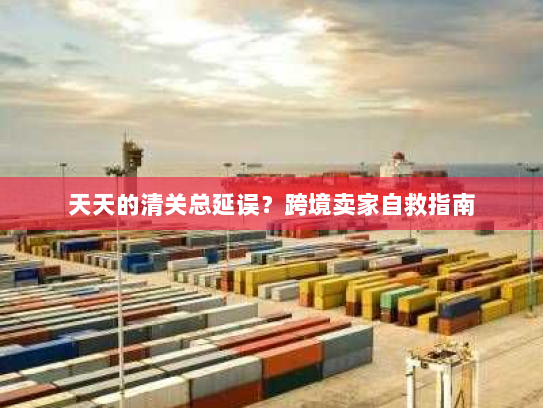 天天的清关总延误?跨境卖家自救指南 天天的清关总延误?跨境卖家自救指南