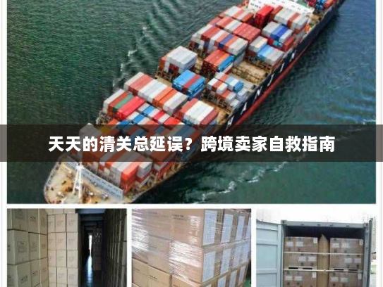 天天的清关总延误?跨境卖家自救指南 天天的清关总延误?跨境卖家自救指南