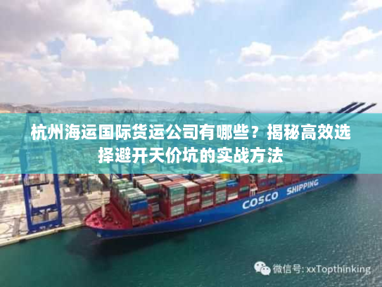 杭州海运国际货运公司有哪些？揭秘高效选择避开天价坑的实战方法