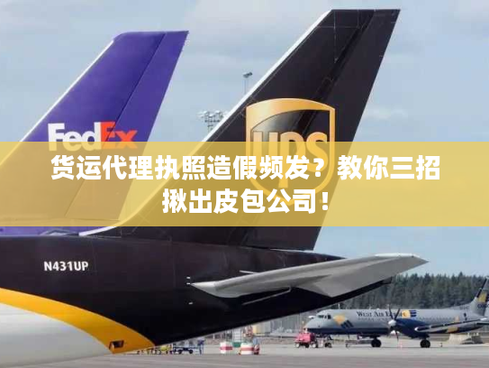 货运代理执照造假频发？教你三招揪出皮包公司！