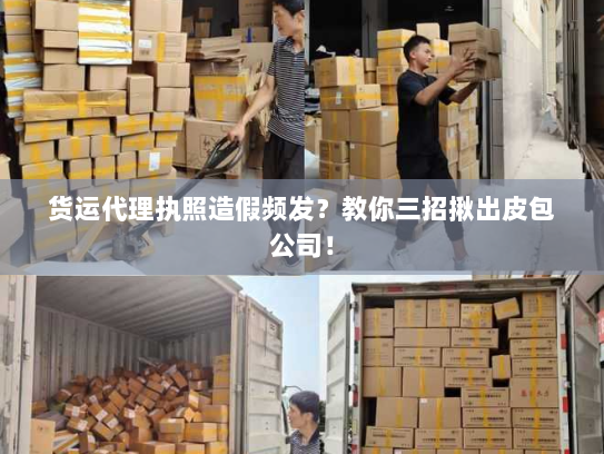 货运代理执照造假频发？教你三招揪出皮包公司！