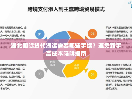 湖北国际货代海运需要哪些手续？避免新手高成本陷阱指南