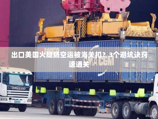 出口美国火腿肠空运被海关扣?3个避坑诀窍速通关 出口美国火腿肠空运被海关扣?3个避坑诀窍速通关