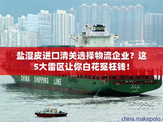 盐湿皮进口清关选择物流企业？这5大雷区让你白花冤枉钱！